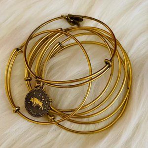 ALEX  + ANI Creation of Adam Gold Bangle Bracelet - Classic, timeless style